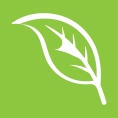 Organico