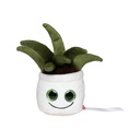 (M160847) Schmoozies® Evergreenies® Aloe Vera [MBW160847]