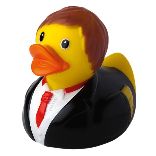 [MBW31029] (M131029) Schnabels® Squeaky Duck Groom [MBW31029]