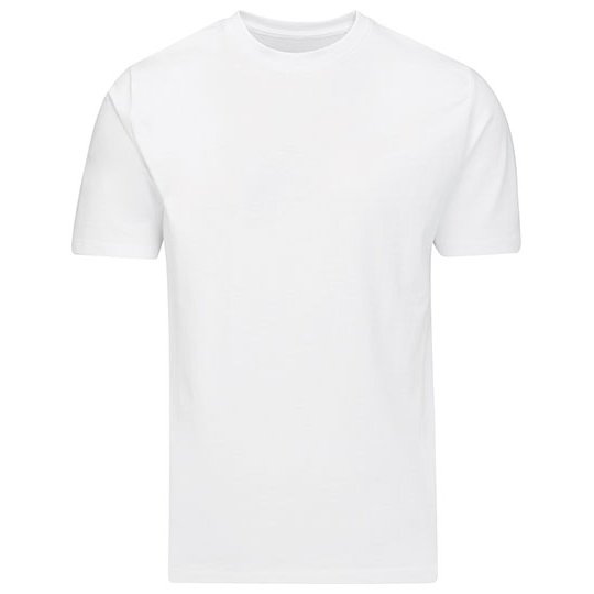 (M03) Essential Heavy T