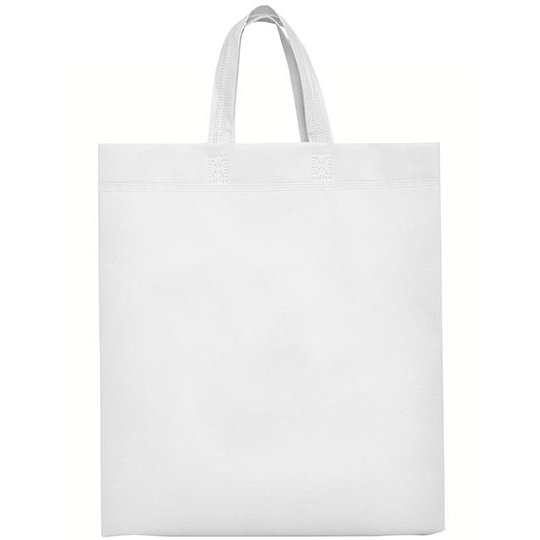 (BO7503) Lake Bag
