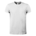 (BS010) Evolution T-shirt