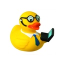 (M131081) Squeaky duck, laptop