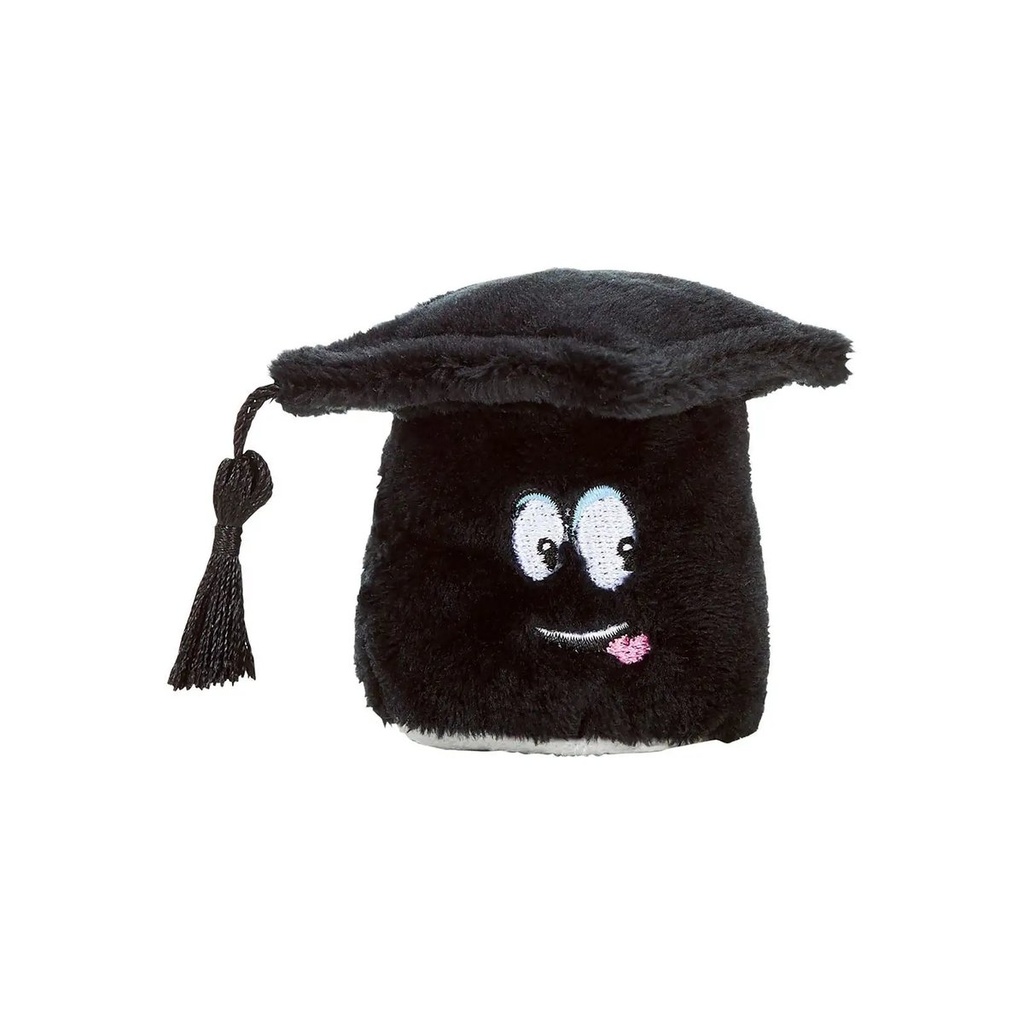 (M160480) Schmoozies® graduates hat