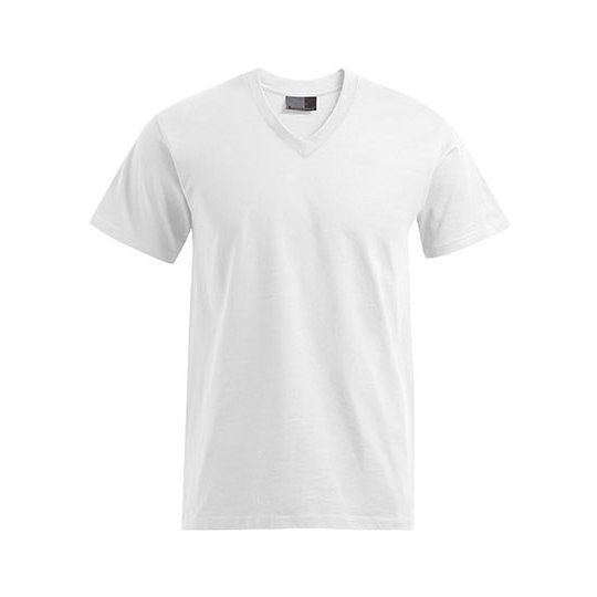 (3025) Premium V-Neck-T [E3025]