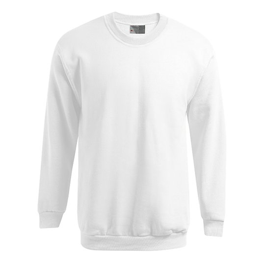 (5099) Men´s New Sweater 100 [E5099N]