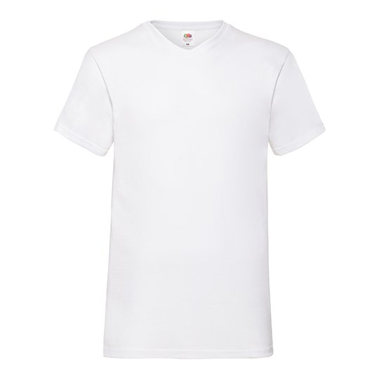 (61-066-0) Valueweight V-Neck T [F270]