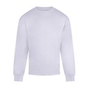 Anthem Headline Heavy Long Sleeve T-Shirt [AM016]