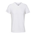 (04765) V-Neck T-Shirt Regent [L04765]