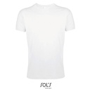 (00553) Regent Fit T-Shirt [L149]