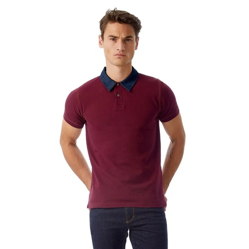 Polo bicolore