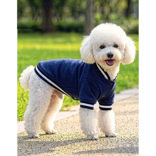 Accessori per cani