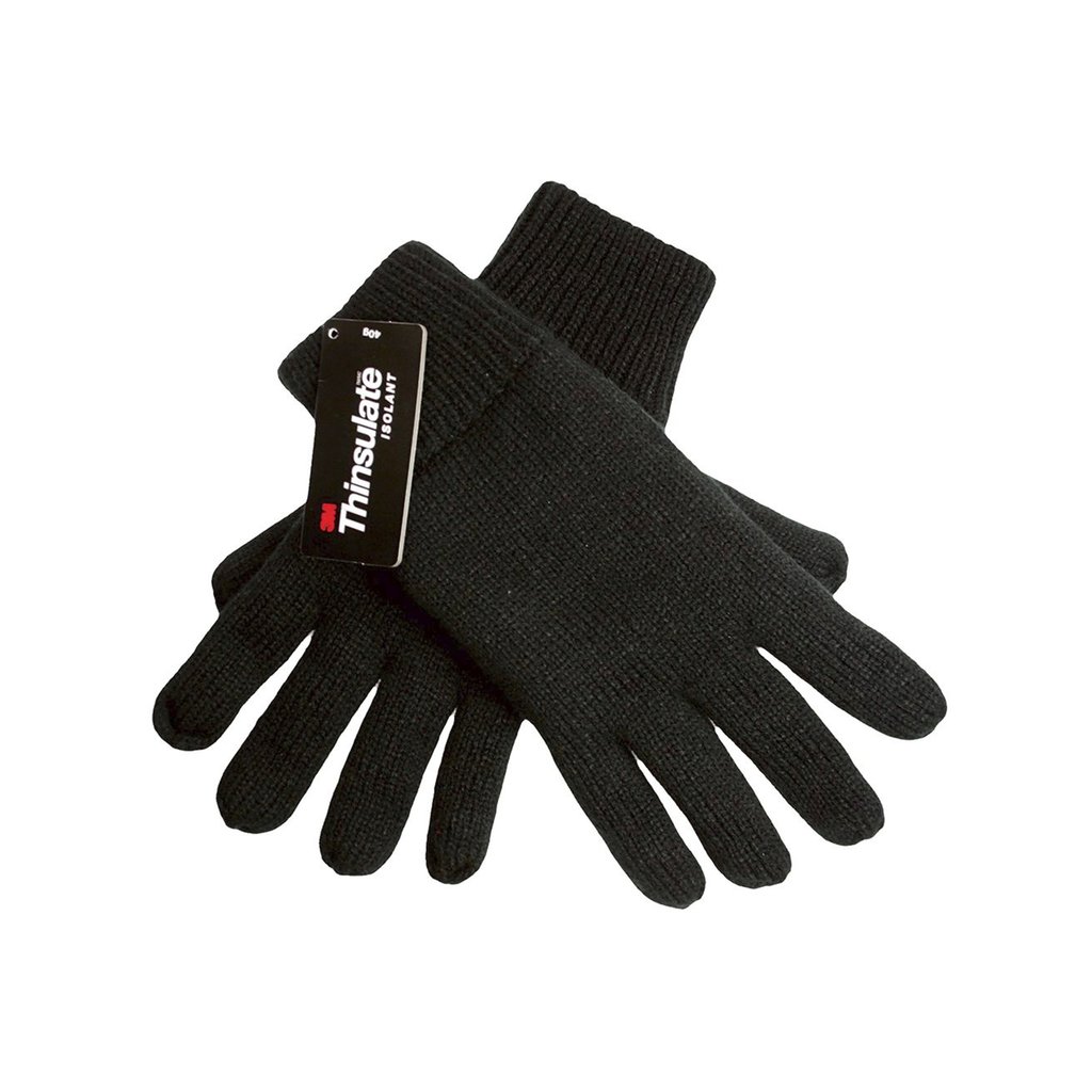 [C1869] Thinsulate Gloves