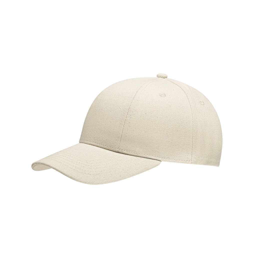 [C560] (1733) Cotton Cap Low Profile/Brushed [C560]