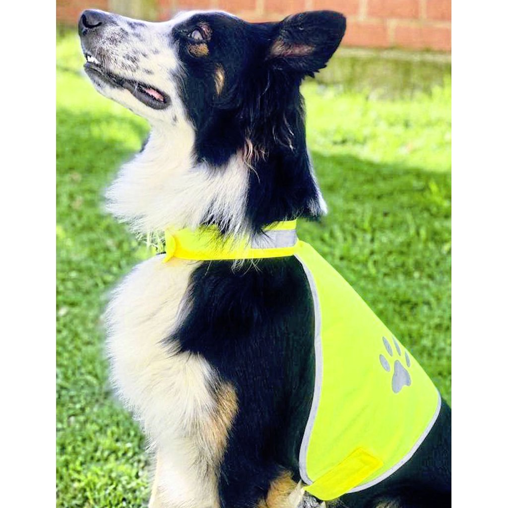 [KX104] (KTH100) Stretchy Hi-Vis Safety Vest For Dogs Buenos Aires
