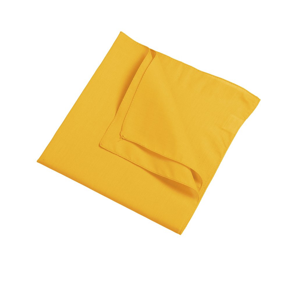 [MB040] (MB040) Bandana