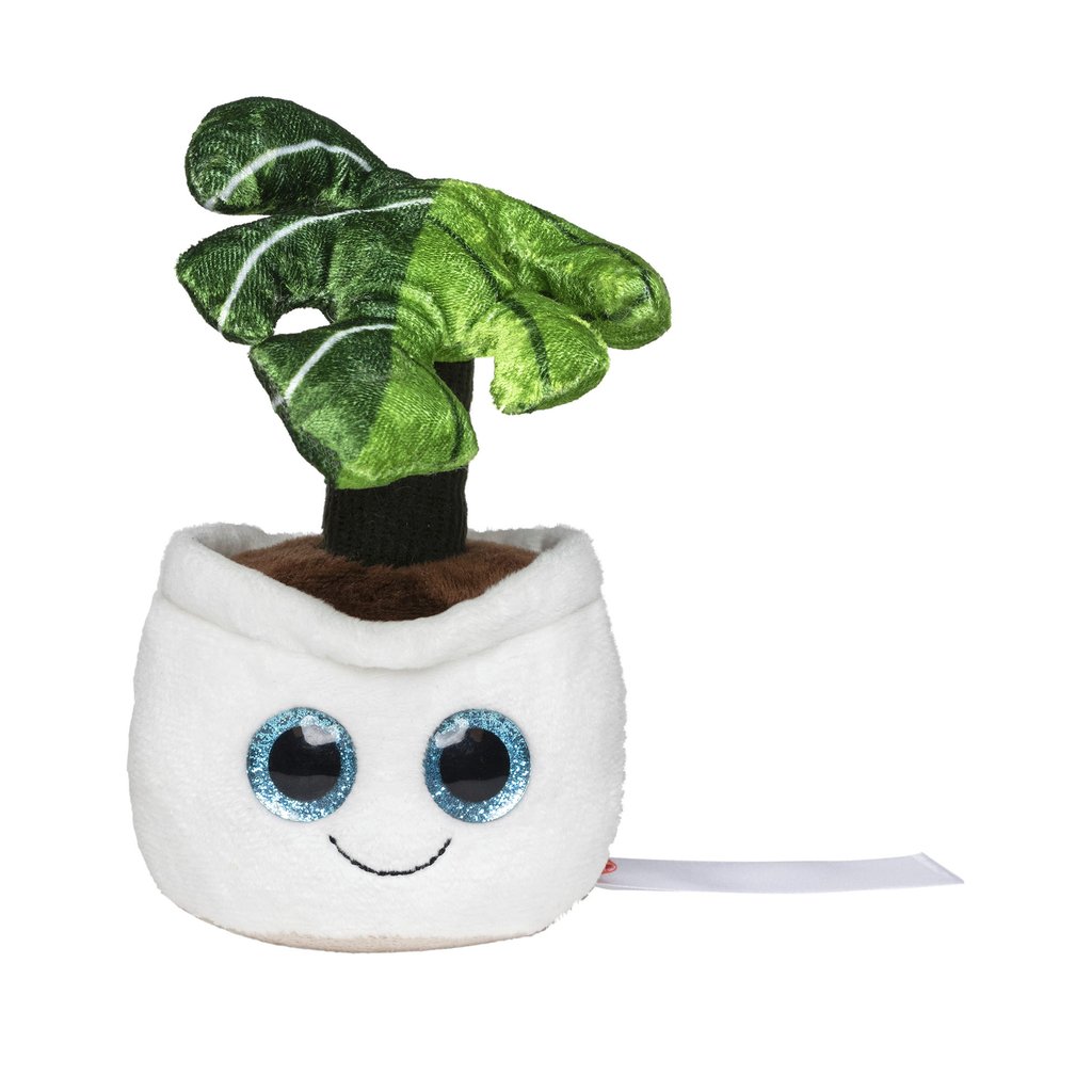 [MBW160846] (M160846) Schmoozies® Evergreenies® Monstera