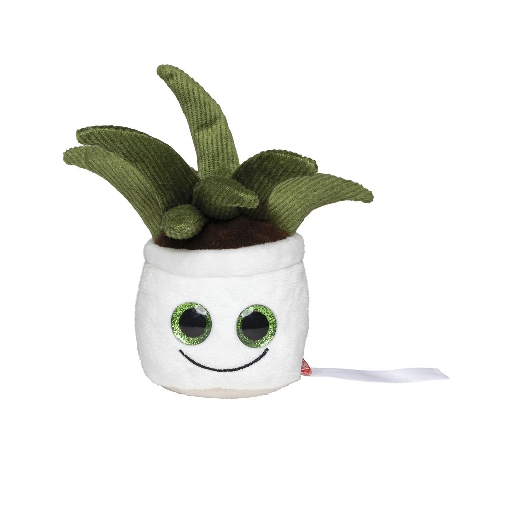 [MBW160847] (M160847) Schmoozies® Evergreenies® Aloe Vera