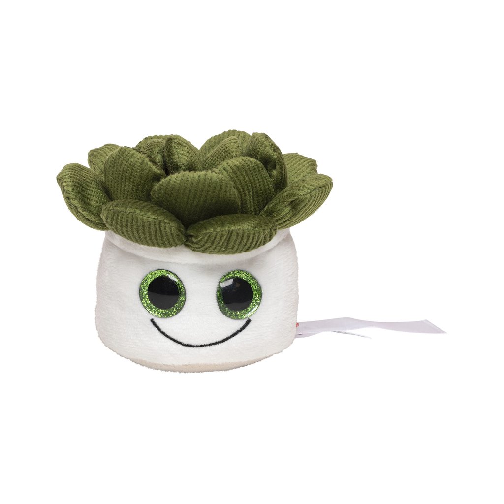 [MBW160849] (M160849) Schmoozies® Evergreenies® Succulent