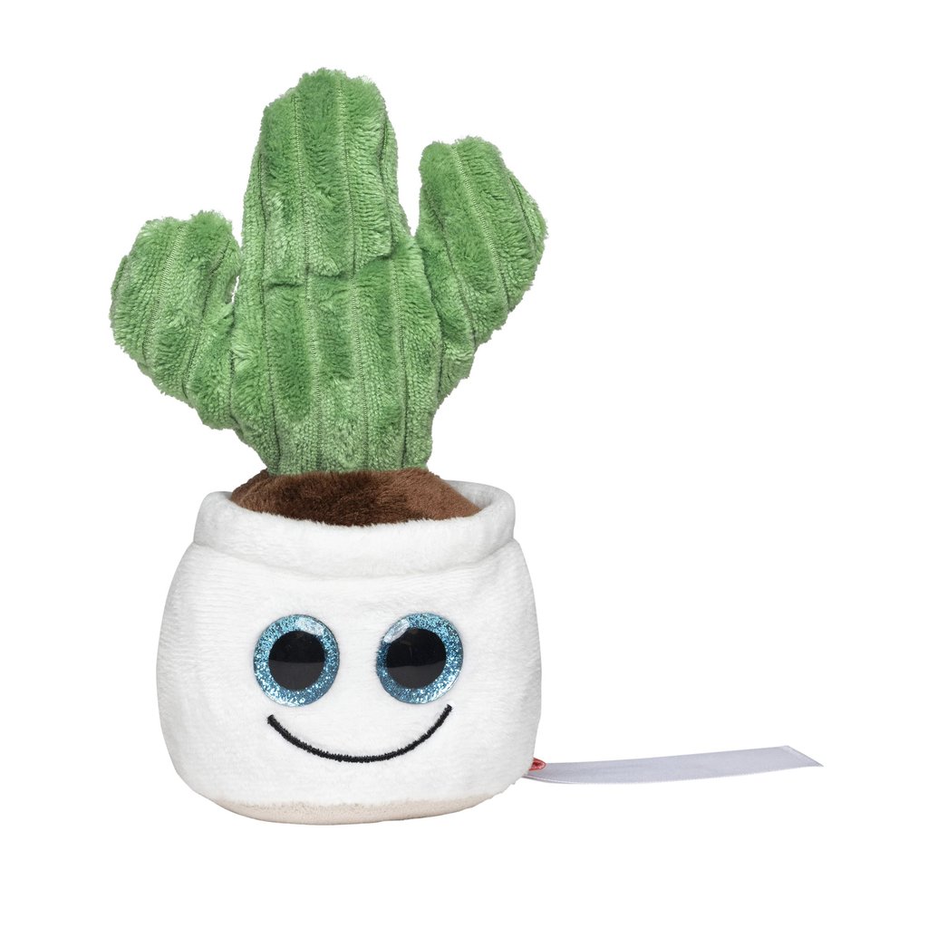 [MBW160851] (M160851) Schmoozies® Evergreenies® Cactus