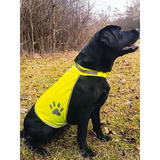 (KTH) Korntex Safety Vest for Dogs