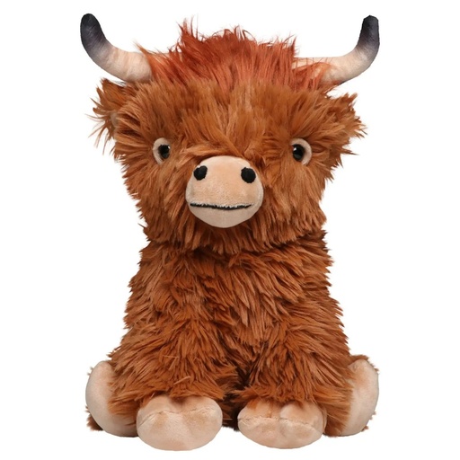[M160908-BW-UNICA] (M160908) Scottish Highland Cattle Bobby