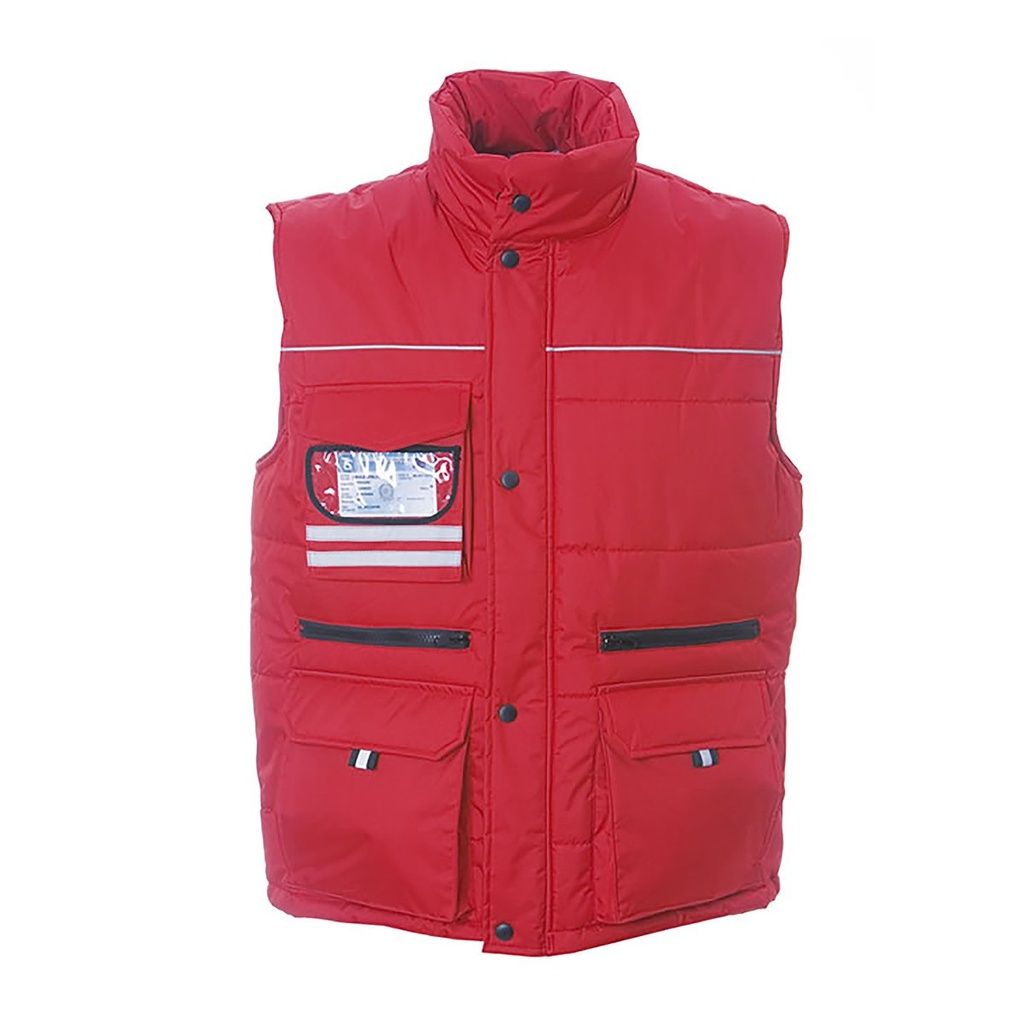 (98771) Gilet Holland